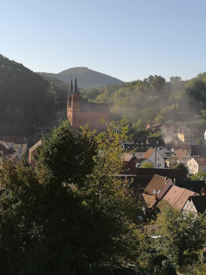 Hotel Am Hirschhorn - Wellness - Spa - And More Wilgartswiesen Luaran gambar