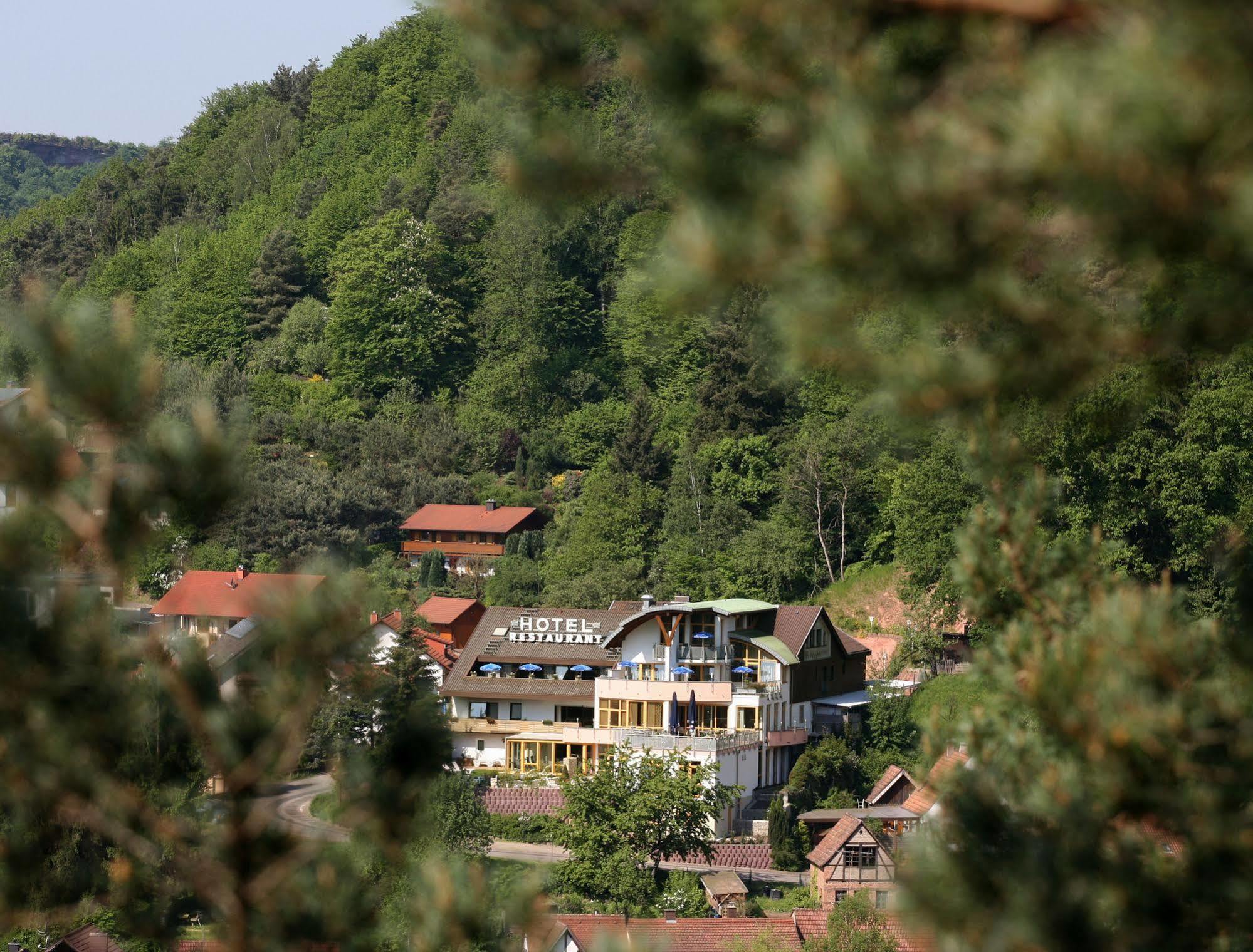 Hotel Am Hirschhorn - Wellness - Spa - And More Wilgartswiesen Luaran gambar