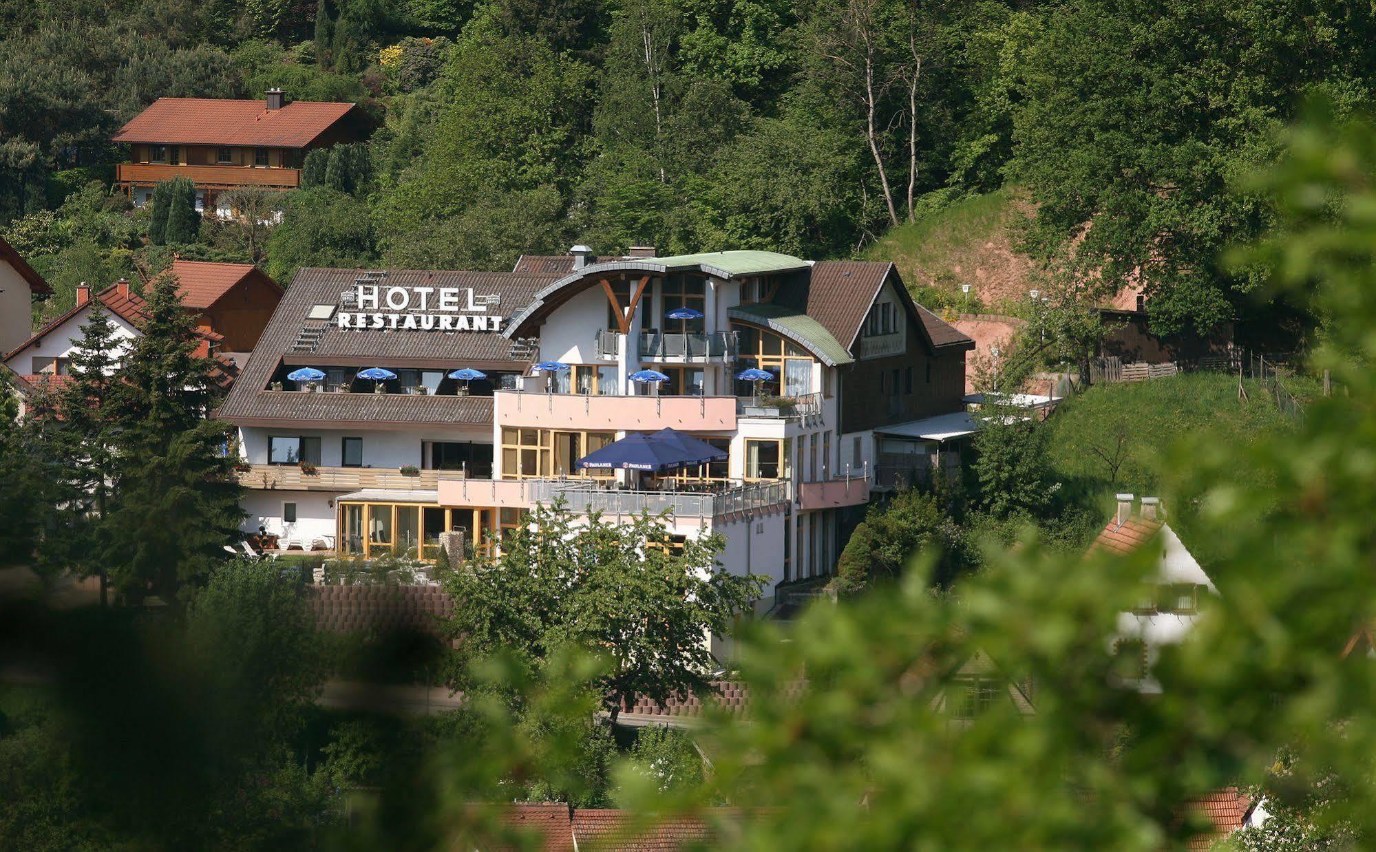 Hotel Am Hirschhorn - Wellness - Spa - And More Wilgartswiesen Luaran gambar